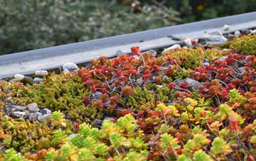 the cost of West Bexington green roof installation