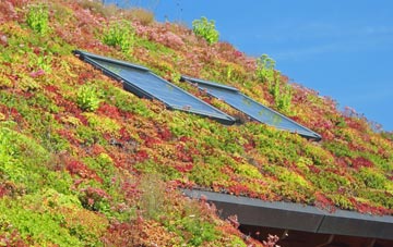 West Bexington living roof systems