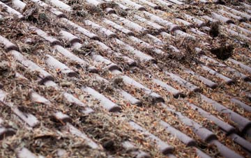 West Bexington roof cleaning companies